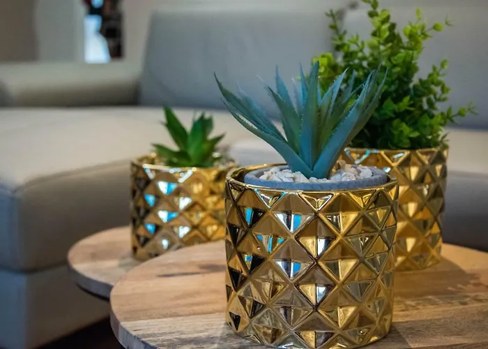 公寓 Oli Mare 波雷奇