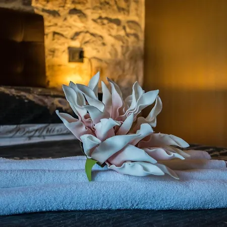 Oli Mare Apartment Porec